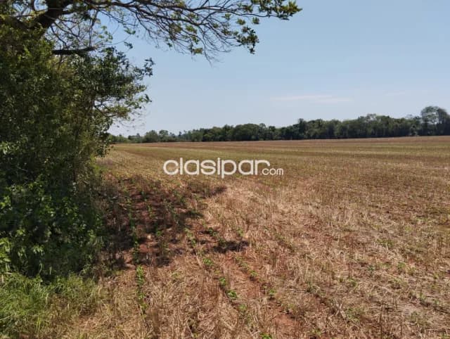 Terreno Rural en Los Cedrales - 27 Ha — foto 4