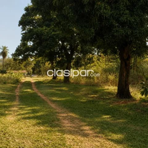 Terreno en Luque, foto 2