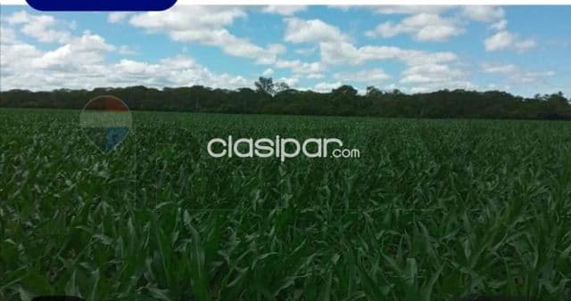 Estancia en bahia negra-chaco 20.057 hectareas acceso operativo siempre z.estrategic