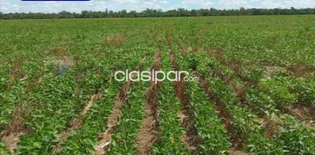 Estancia en bahia negra-chaco 20.057 hectareas acceso operativo siempre z.estrategic — foto 3
