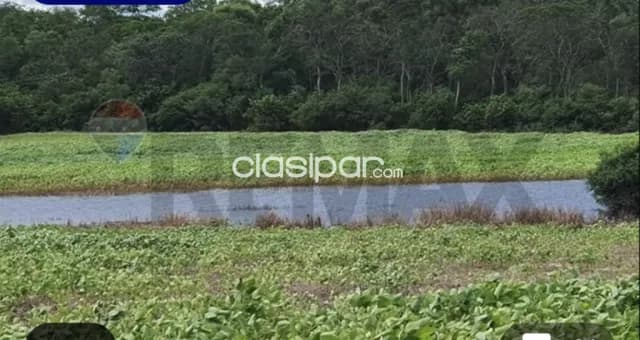 Estancia en bahia negra-chaco 20.057 hectareas acceso operativo siempre z.estrategic — foto 4