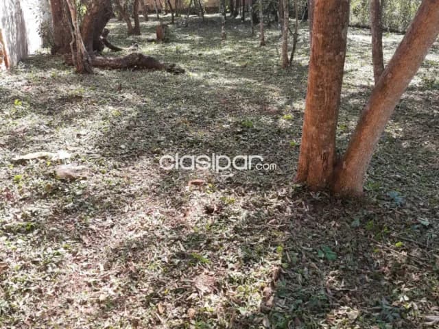 Terreno en Ytu Mi (Caacupé) — foto 3