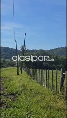 Escobar, paraguarí: 20+10 has, ideal p/ granja, quinta, criaderos, plantaciones, foto 5