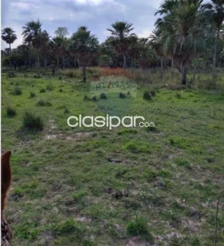 353 hectáreas a 800 mtrs de ruta alberdi-villa oliva-ñeembucu, foto 3