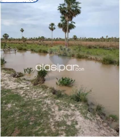 353 hectáreas a 800 mtrs de ruta alberdi-villa oliva-ñeembucu, foto 4