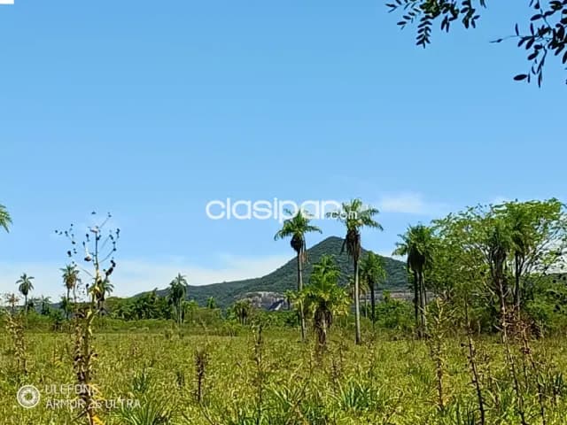 20 ha Propiedad con naturaleza en Potrero Garay – La Colmena — foto 2