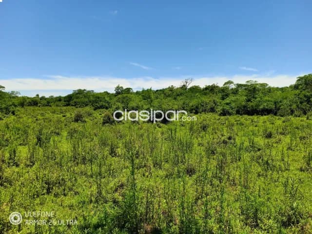20 ha Propiedad con naturaleza en Potrero Garay – La Colmena — foto 3