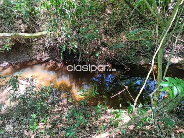 20 ha Propiedad con naturaleza en Potrero Garay – La Colmena — foto 4