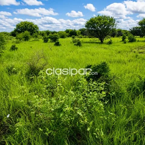 Propiedad en el chaco, foto 5