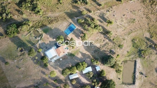 En venta hermoso establecimiento de 50 hectareas - ciudad de quiindy - km 102