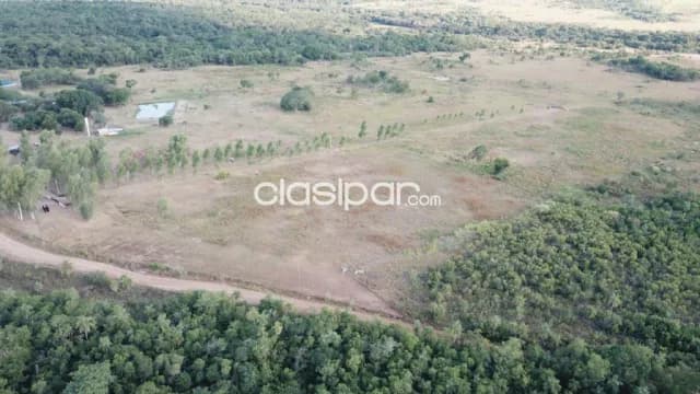 En venta hermoso establecimiento de 50 hectareas - ciudad de quiindy - km 102, foto 4