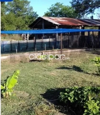 Estancia ganadera 2.895 hectáreas en benjamin aceval chaco pyo a 80 km transchaco, foto 2