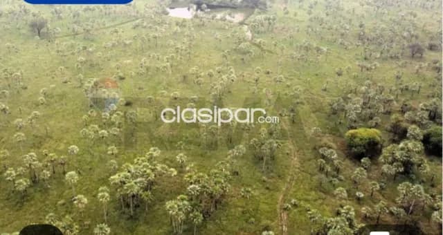 Estancia ganadera 2.895 hectáreas en benjamin aceval chaco pyo a 80 km transchaco, foto 3