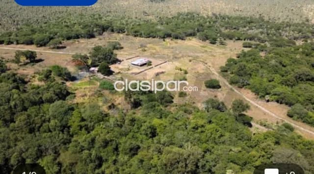 Estancia ganadera 2.895 hectáreas en benjamin aceval chaco pyo a 80 km transchaco, foto 4