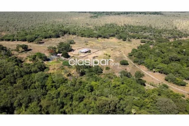 🏡 estancia ganadera en venta benjamín aceval, chaco paraguayo 🏡, foto 2