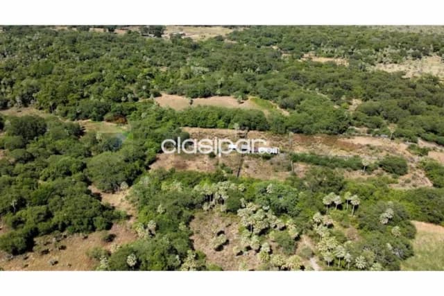 🏡 estancia ganadera en venta benjamín aceval, chaco paraguayo 🏡, foto 3
