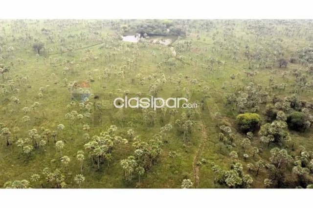 🏡 estancia ganadera en venta benjamín aceval, chaco paraguayo 🏡, foto 4