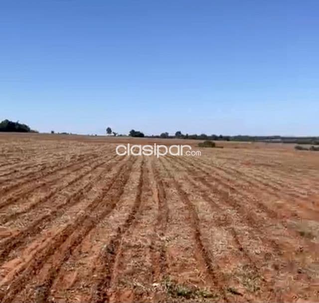 Campo Agrícola Mecanizado en Juan E. O’Leary - 100 Ha