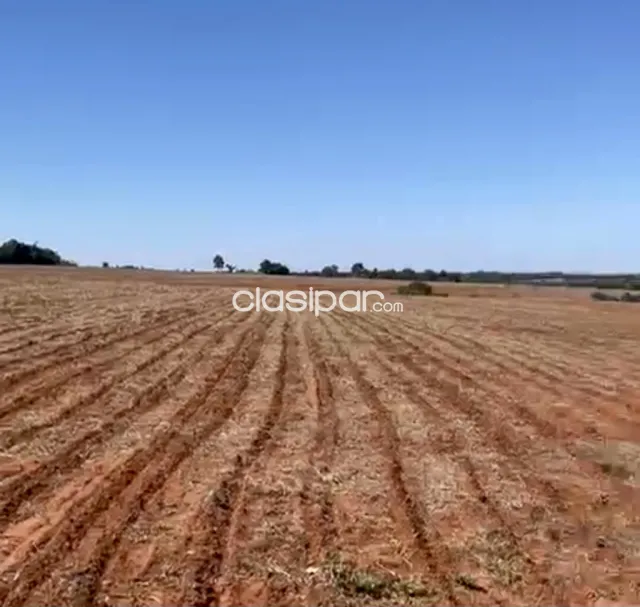 Campo Agrícola Mecanizado en Juan E. O’Leary - 100 Ha, foto 2