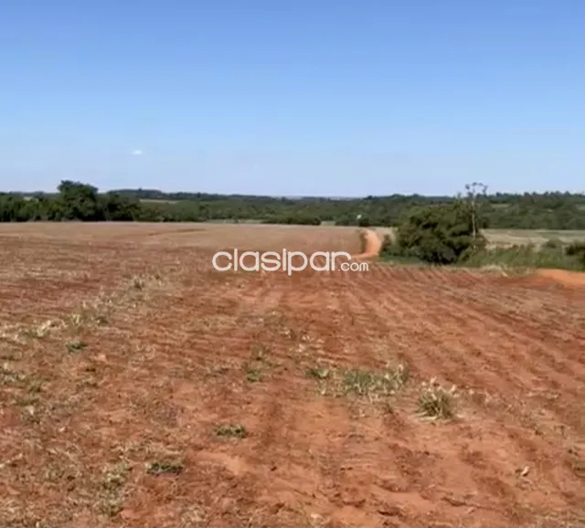 Campo Agrícola Mecanizado en Juan E. O’Leary - 100 Ha, foto 3