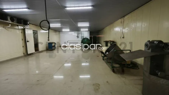 Inversión Estratégica en Ita: Complejo Industrial y Comercial con Cámaras Frigoríficas, foto 3
