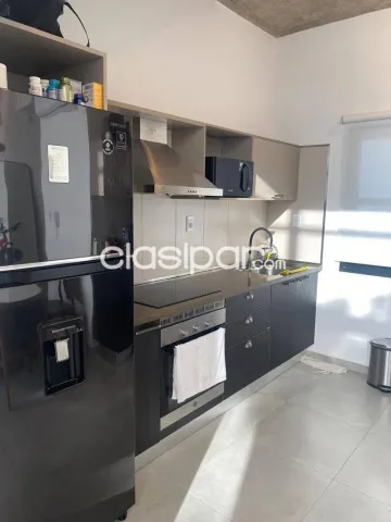 Departamento de 1 dormitorio en el edificio chelsea - mburucuya — foto 5