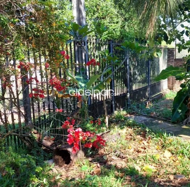 Terreno 500m² en Altura | Barrio Villa Bonita Villa Elisa | Árboles frutales — foto 4