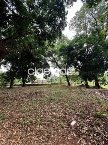 Terreno 866 m2 en Ñemby zona Reconquista - Casa Quinta, foto 3