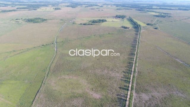 En venta estancia 2.134 hectareas - agrícola, ganadera y forestal en san pedro — foto principal