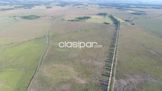 En venta estancia 2.134 hectareas - agrícola, ganadera y forestal en san pedro — foto 2