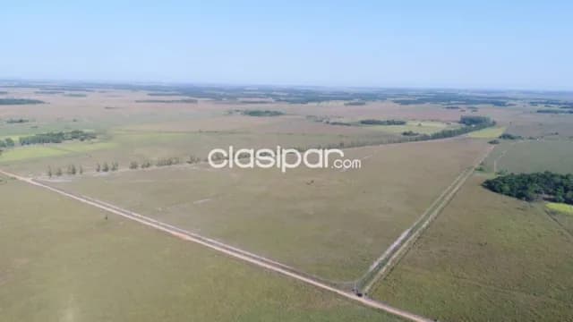 En venta estancia 2.134 hectareas - agrícola, ganadera y forestal en san pedro — foto 3