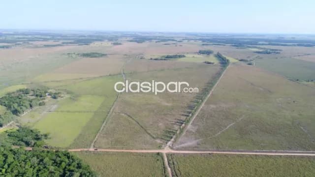 En venta estancia 2.134 hectareas - agrícola, ganadera y forestal en san pedro — foto 4