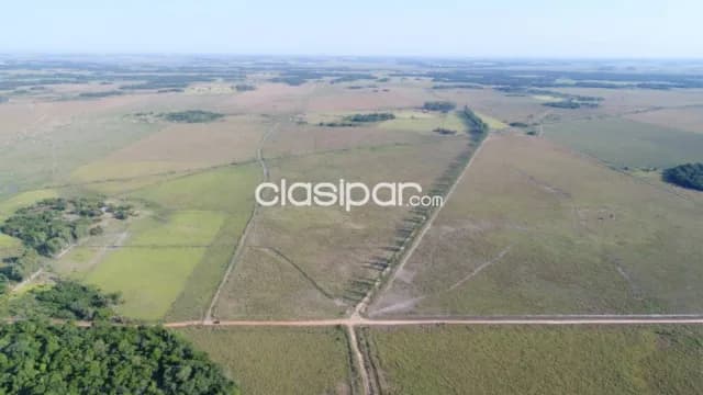 En venta estancia 2.134 hectareas - agrícola, ganadera y forestal en san pedro — foto 5