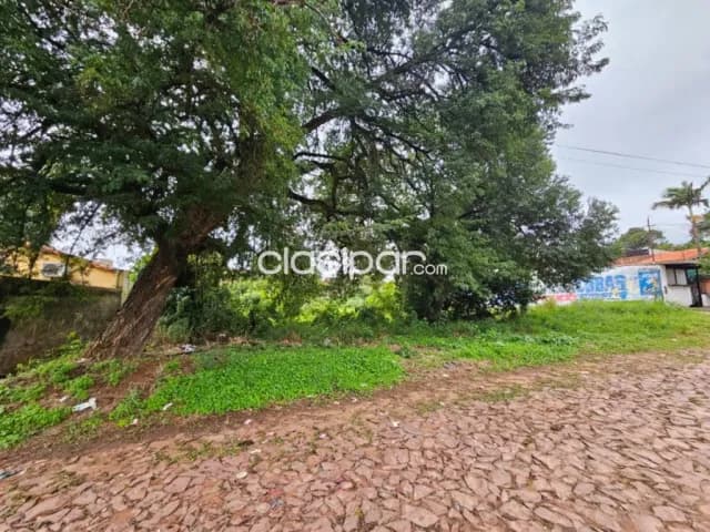 Terreno 360 m² Ñemby – 3 cuadras de Acceso Sur, cerca La Bomba — foto 3