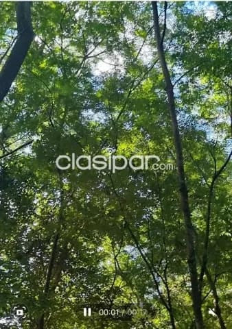 Imponente terreno en Fernando de la Mora, zona sur — foto 4