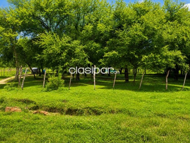 3 lotes juntos en chacoi nueva Asunción