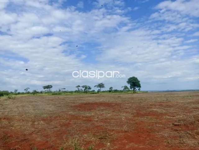 Terreno Rural en Cerro Corá sobre Ruta - 13 Ha — foto 4