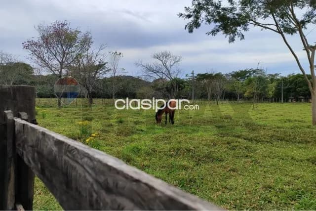 14 hectareas en yaguaron paraguari — foto 3