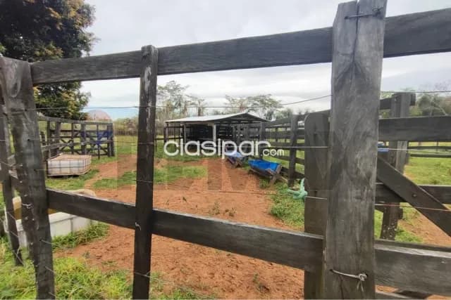 14 hectareas en yaguaron paraguari — foto 4