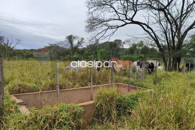 14 hectareas en yaguaron paraguari — foto 5