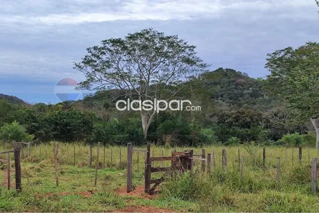 5 hectareas en yaguaron paraguari — foto 4