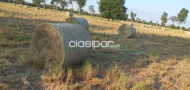 En venta Estancia en Bahía Negra Chaco Paraguayo