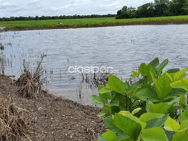 En venta Estancia en Bahía Negra Chaco Paraguayo, foto 3