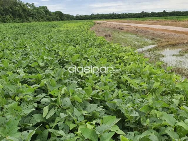 En venta Estancia en Bahía Negra Chaco Paraguayo, foto 4