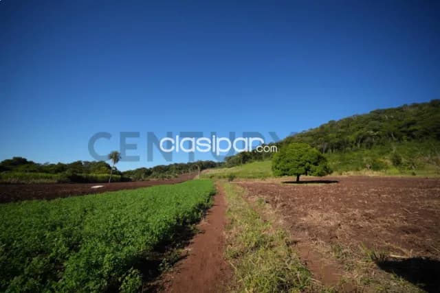 Oportunidad de inversión, 20 hectáreas en sapucai — foto 3