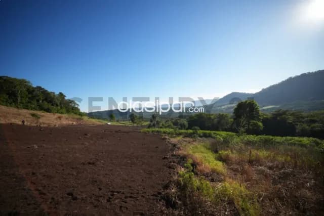 Oportunidad de inversión, 20 hectáreas en sapucai — foto 4