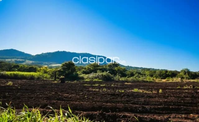 Oportunidad de inversión, 20 hectáreas en sapucai — foto 5