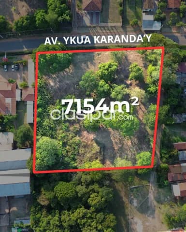 Luque ykua karanday sobre asfalto, foto 3
