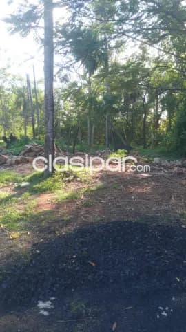 Terreno en San Bernardino — foto 3