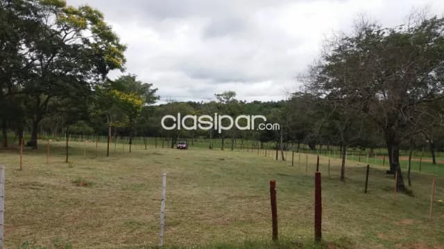 Terreno en Nueva Colombia, foto 4